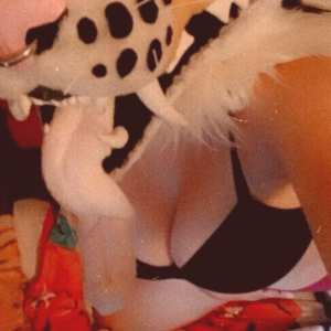 feral-tigress Nude OnlyFans Leaks