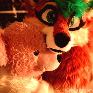 furry-foxxy Nude OnlyFans Leaks