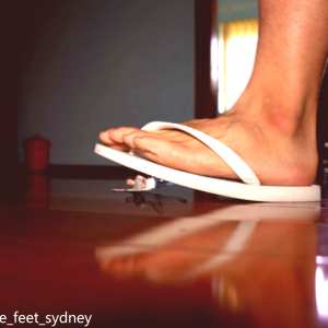 male-feet-sydney Nude OnlyFans Leaks