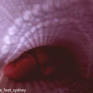 male-feet-sydney Nude OnlyFans Leaks