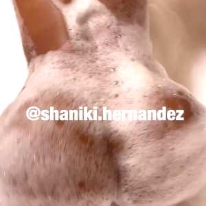 shanikihernandez-vip Nude OnlyFans Leaks