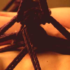 trenzalore-shibari Nude OnlyFans Leaks