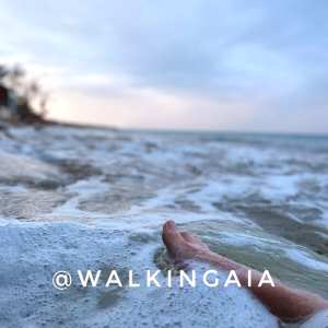 walkingaia Nude OnlyFans Leaks