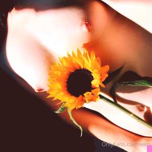 wetsunflowers Nude OnlyFans Leaks