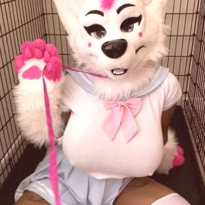 youronlinefurrywaifu - bustypuppy avatar